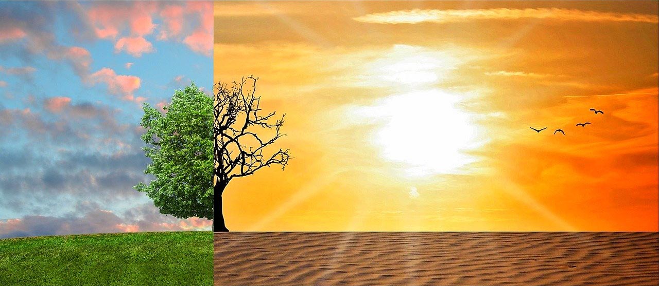 Climate Change (Image: Tumisu/Pixabay)