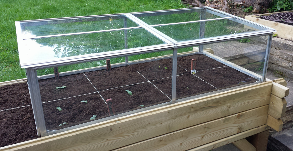 Cold-frame over planter (Image: T. Larkum)