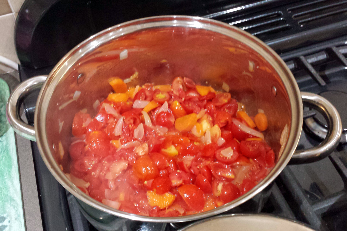 Vegetable soup (Image: T. Larkum)