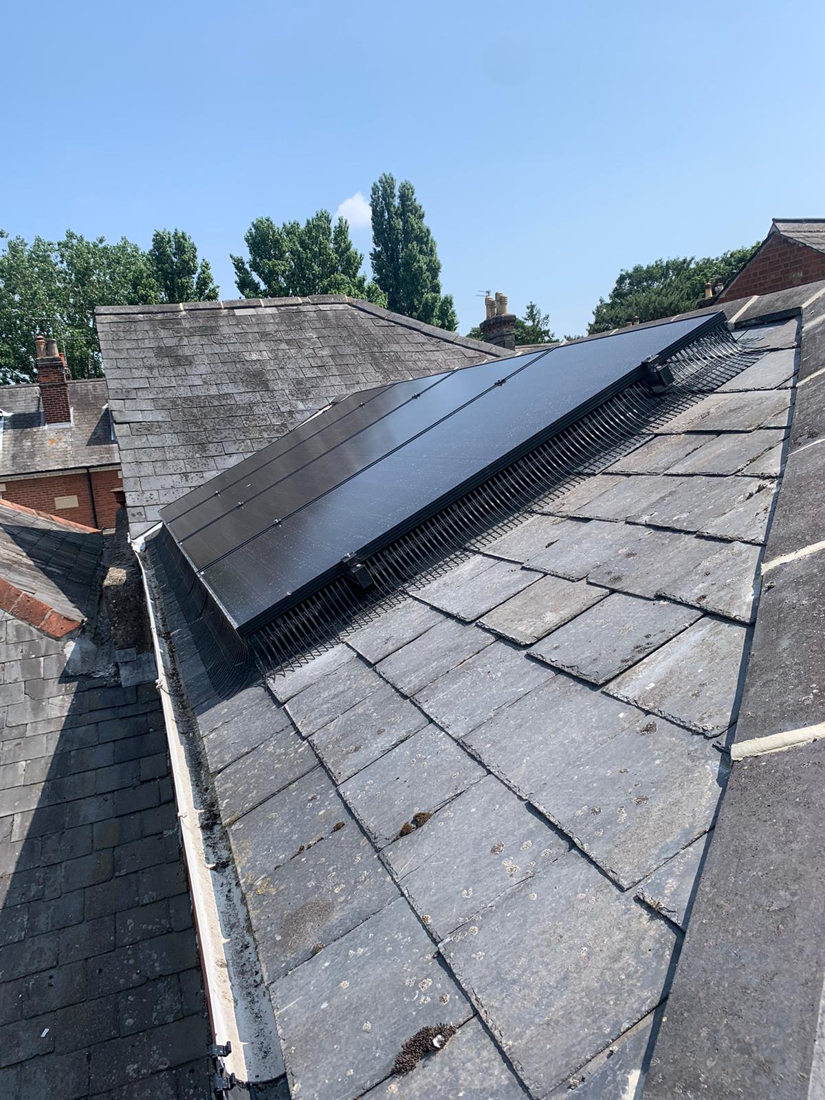 A solar install with bird control (Image: DH/Tanjent)